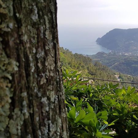 Santuario Ns Soviore Cinque Terre Bed & Breakfast Monterosso al Mare Exterior photo