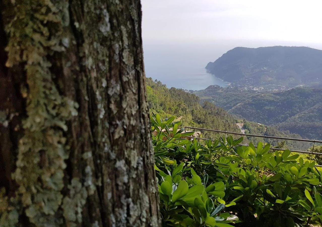 Santuario Ns Soviore Cinque Terre Bed & Breakfast Monterosso al Mare Exterior photo